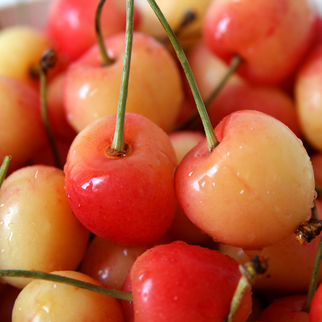 Seasonal White Cherries