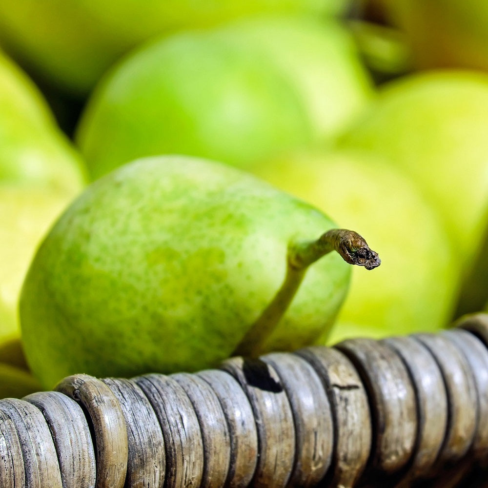 Seasonal Pears